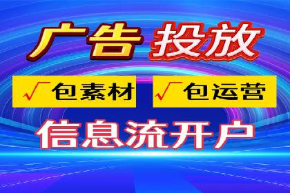 行业领先企业的SEM运营策略案例解析